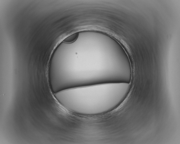 X0000112381529200908131313