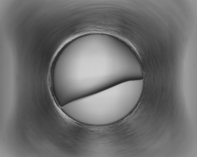 X0000112381531200908131313