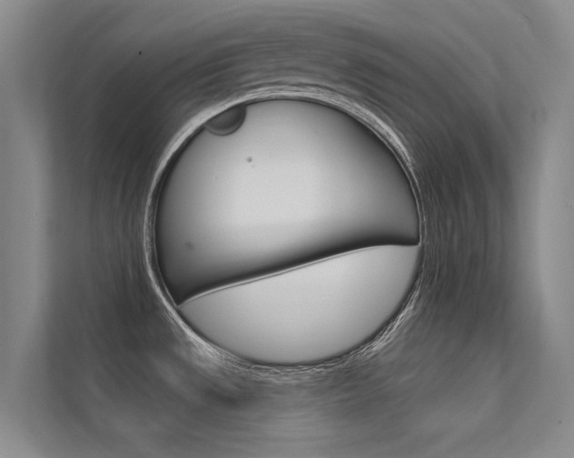 X0000112381533200908131314