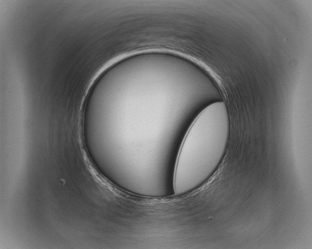 X0000112381534200908131314