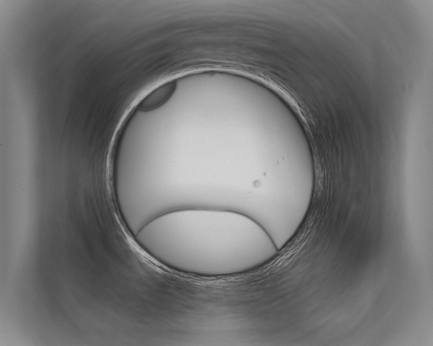 X0000112381535200908131314