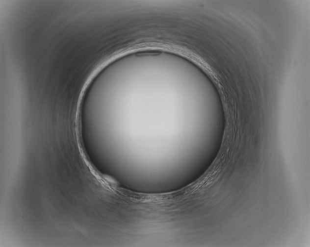 X0000112381536200908131314