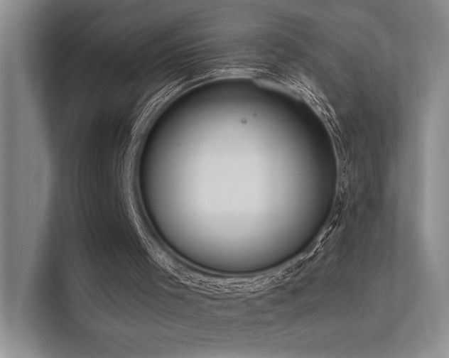 X0000112380001200908131538