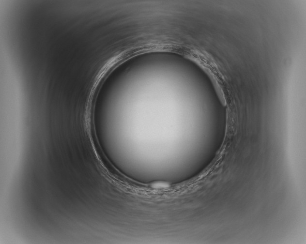 X0000112380003200908131538