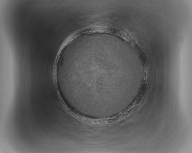 X0000112380004200908131538