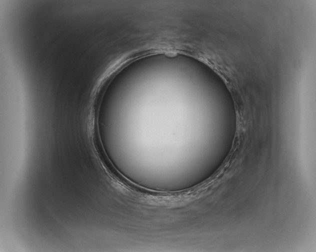 X0000112380005200908131538