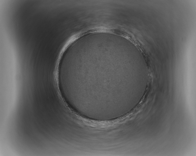 X0000112380006200908131538