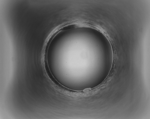 X0000112380007200908131538