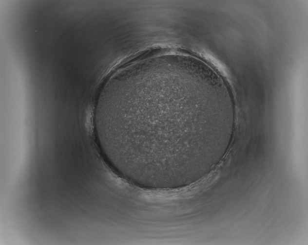 X0000112380009200908131538