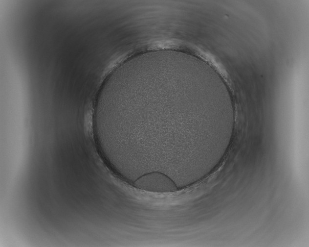 X0000112380010200908131538