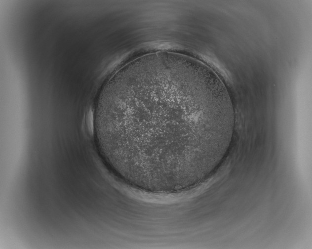 X0000112380014200908131538