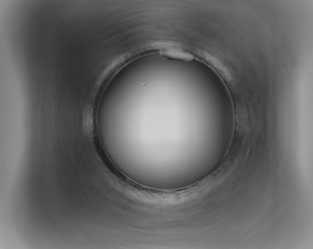 X0000112380015200908131538