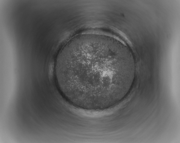 X0000112380018200908131538