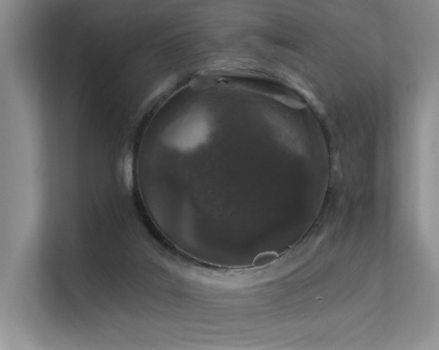 X0000112380019200908131538