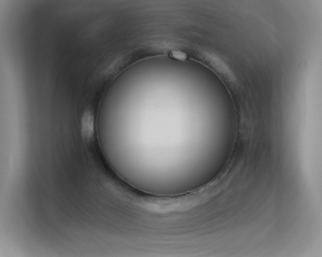 X0000112380021200908131538