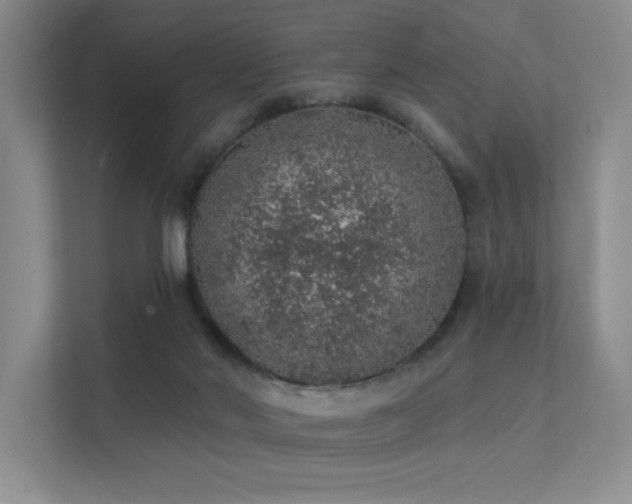 X0000112380022200908131538