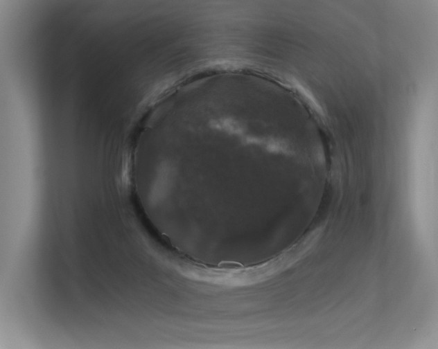 X0000112380023200908131538