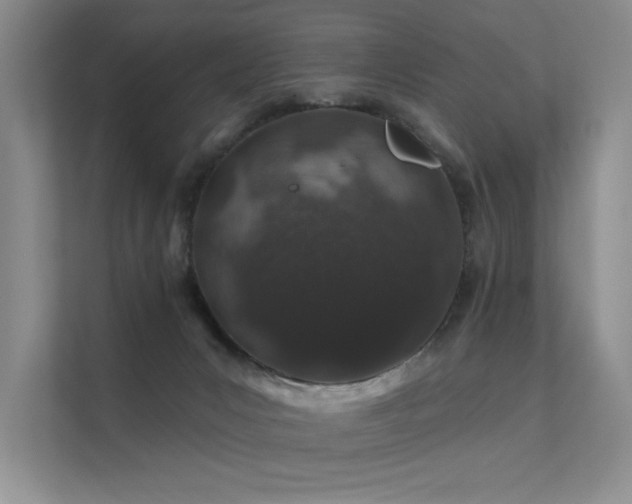 X0000112380031200908131538