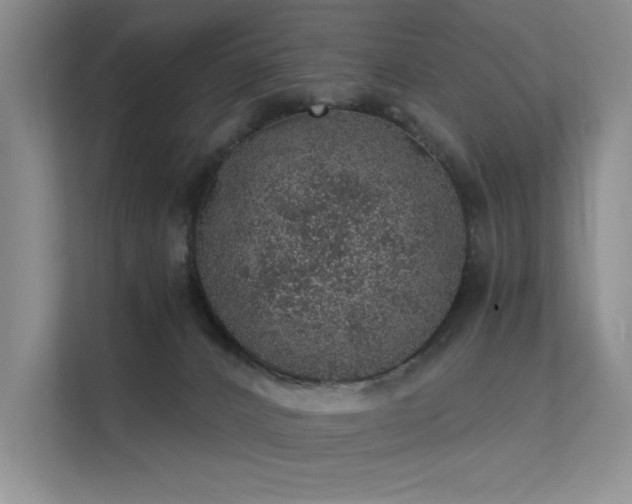 X0000112380032200908131538