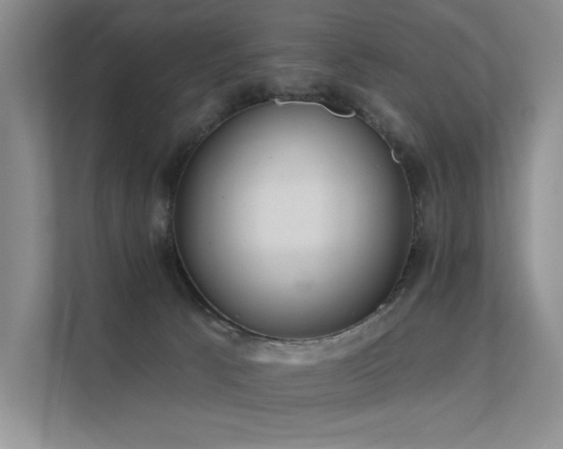 X0000112380033200908131538