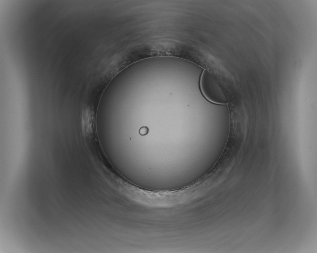 X0000112380038200908131538