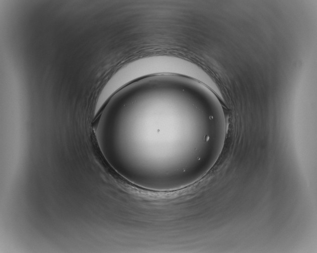 X0000112380039200908131538