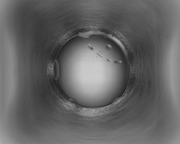 X0000112380045200908131538