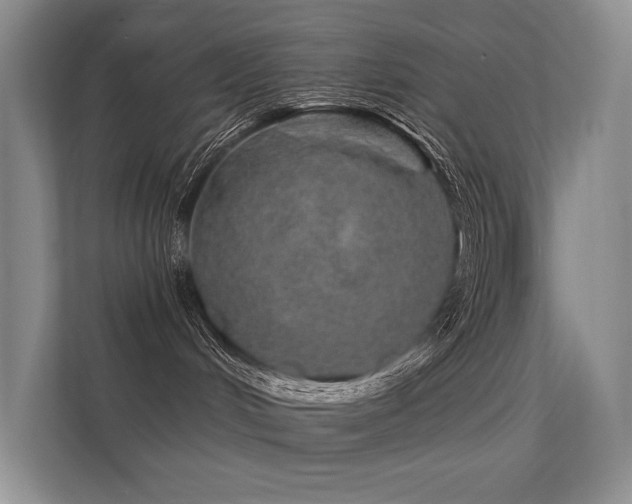 X0000112380048200908131537