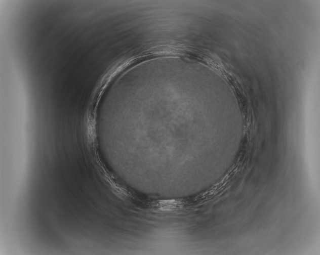 X0000112380050200908131537