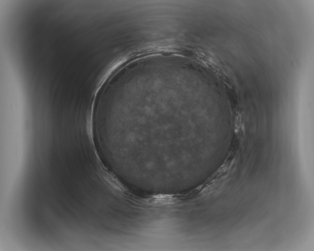 X0000112380052200908131537