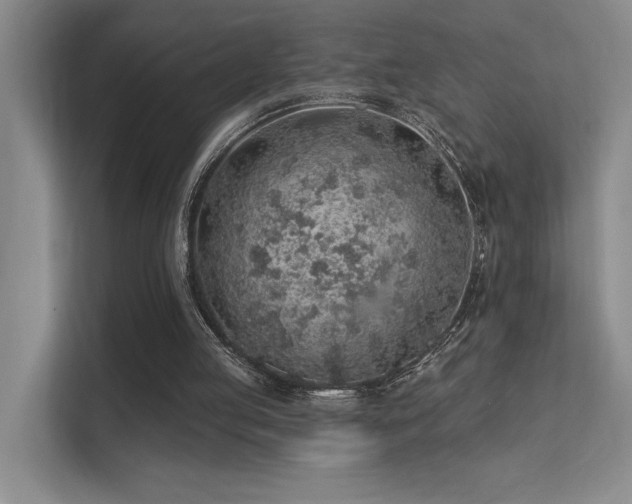 X0000112380053200908131537