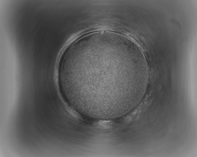 X0000112380055200908131537