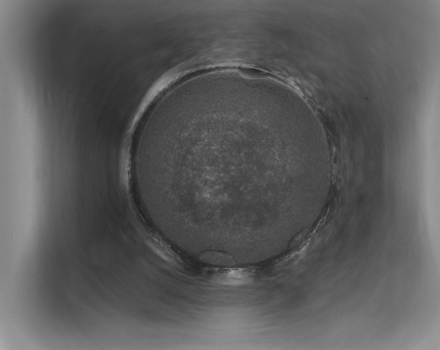 X0000112380056200908131537