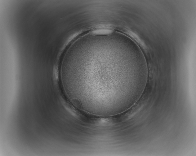 X0000112380060200908131537