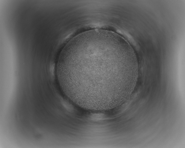 X0000112380066200908131537