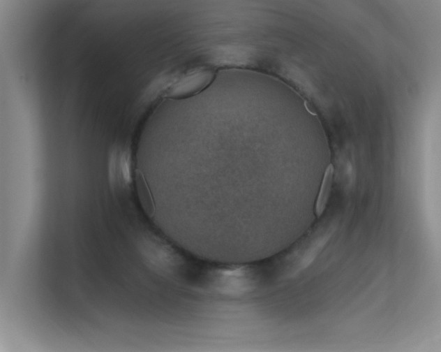 X0000112380068200908131537