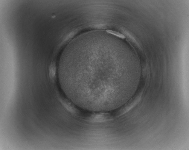 X0000112380072200908131537