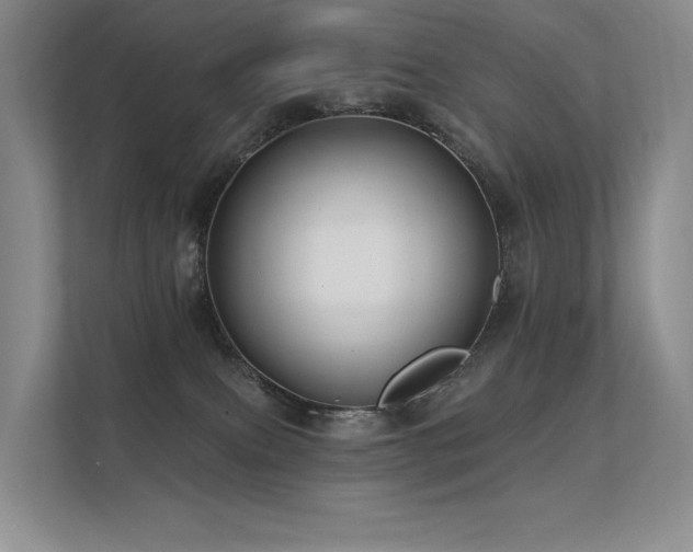 X0000112380087200908131537