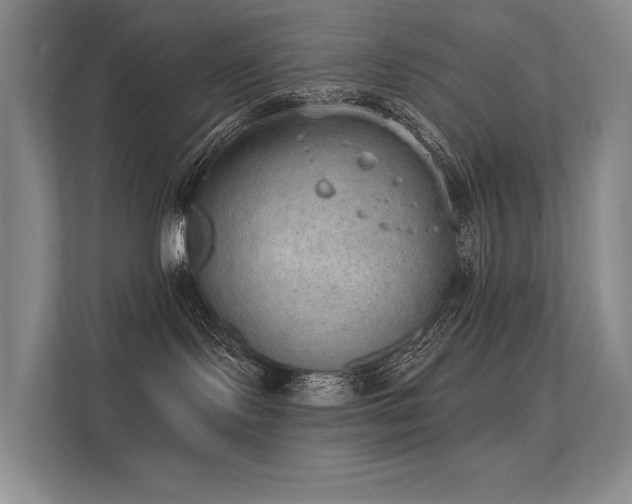 X0000112380095200908131537