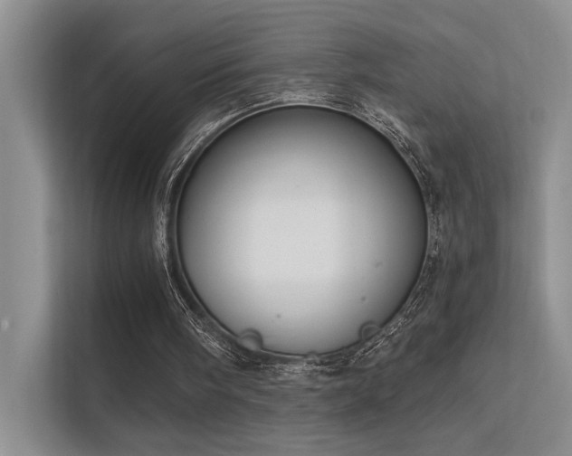 X0000112380098200908131537