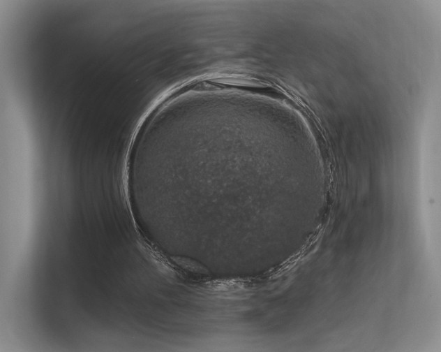 X0000112380100200908131537