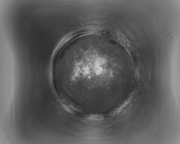 X0000112380101200908131537