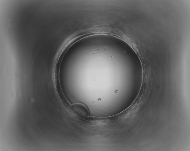 X0000112380103200908131537