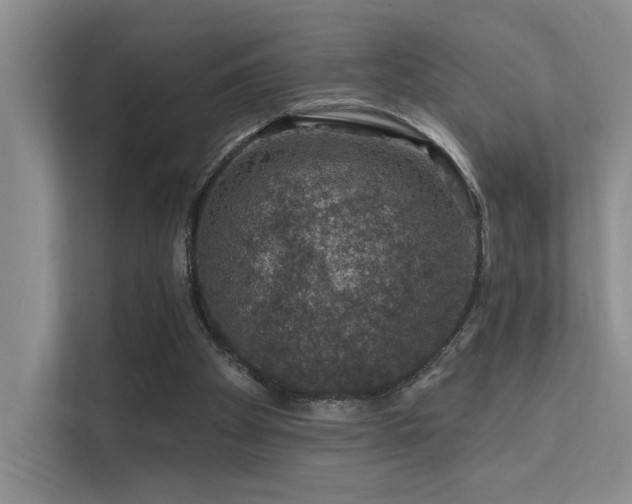 X0000112380105200908131537