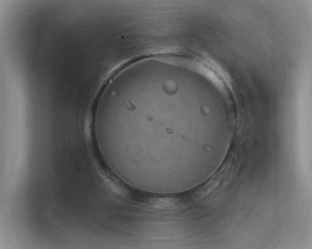 X0000112380107200908131537