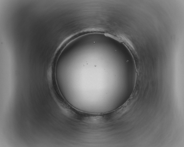 X0000112380108200908131537