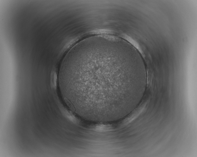 X0000112380109200908131537