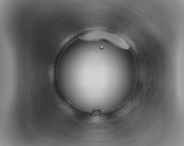 X0000112380111200908131537