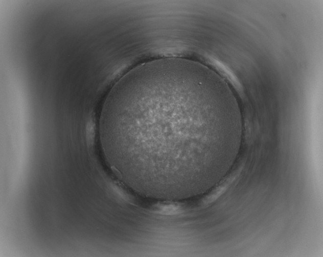 X0000112380113200908131537