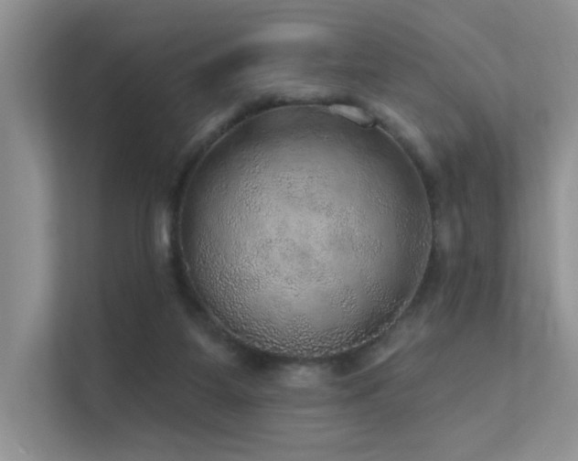 X0000112380115200908131537